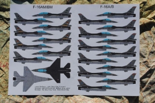 Flevo Decals FD72-015  313 Squadron F-16A/B F-16AM/BM 